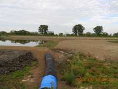 DSCN9390.JPG