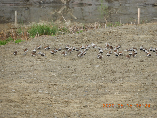 DSCN9393.JPG