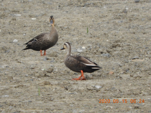 DSCN9394.JPG