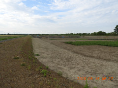 DSCN9398.JPG