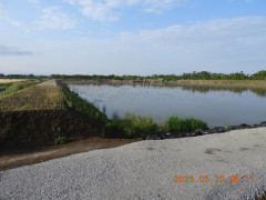 DSCN9433.JPG