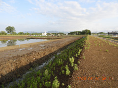 DSCN9435.JPG