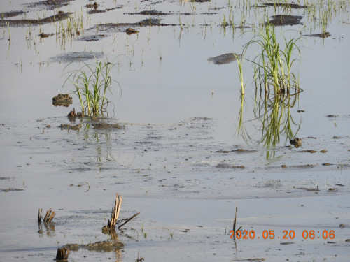 DSCN9431.JPG