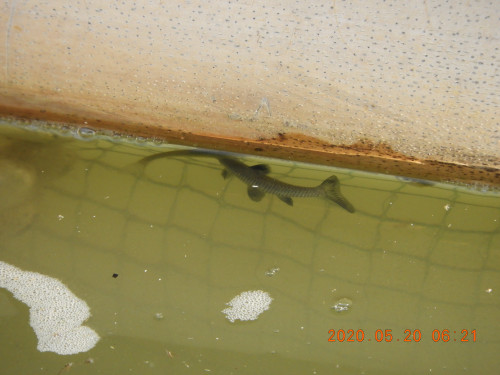DSCN9438.JPG