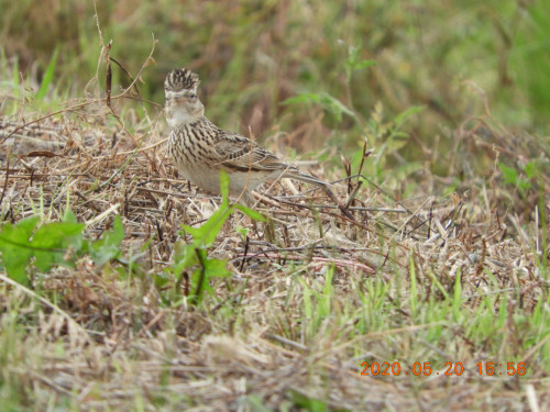DSCN9461.JPG
