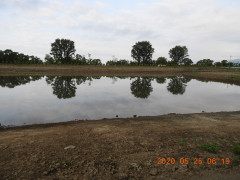 DSCN9496.JPG
