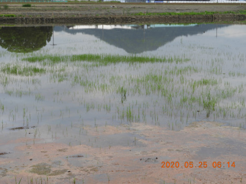 DSCN9492.JPG