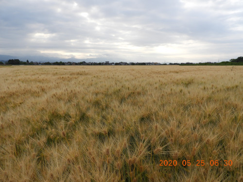 DSCN9504.JPG