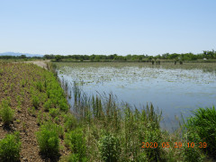 DSCN9531.JPG