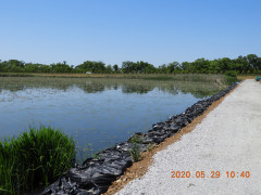 DSCN9532.JPG