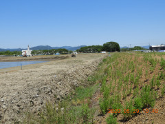 DSCN9534.JPG