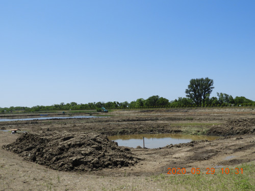 DSCN9523.JPG