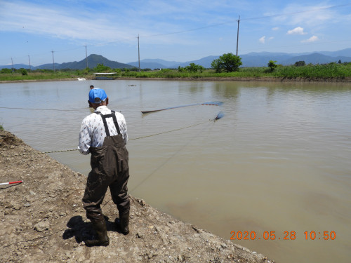 DSCN9518.JPG