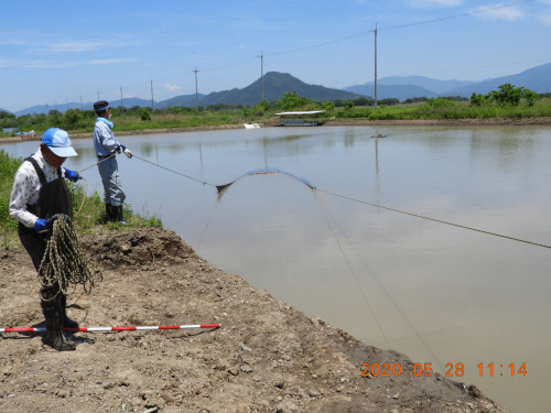 DSCN9520.JPG