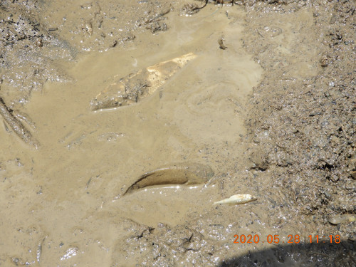 DSCN9522.JPG