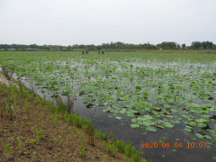 DSCN0012.JPG