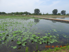 DSCN0013.JPG