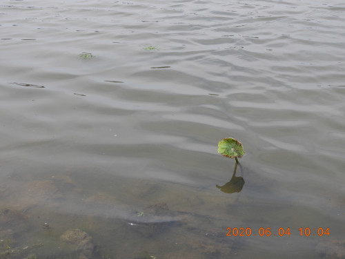 DSCN0010.JPG