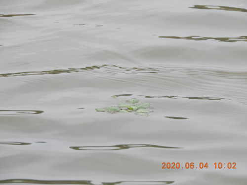 DSCN0008.JPG