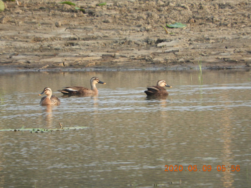 DSCN0032.JPG