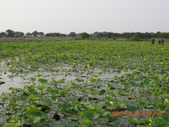 DSCN0029.JPG