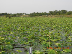 DSCN0030.JPG