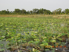 DSCN0031.JPG