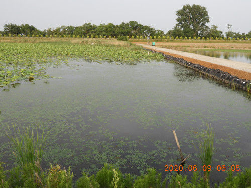 DSCN0037.JPG