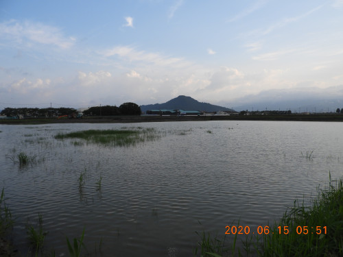 DSCN0098.JPG