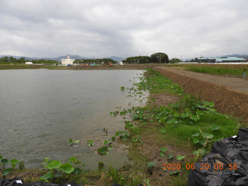 DSCN9561.JPG