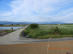 DSCN9563.JPG