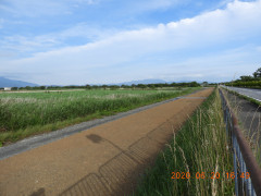 DSCN9564.JPG