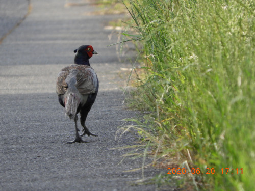 DSCN9565.JPG