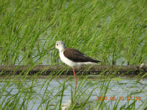 DSCN9570.JPG
