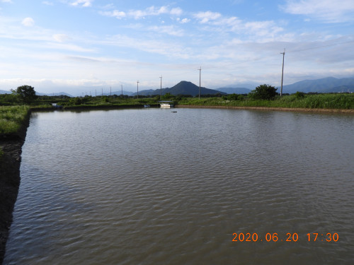 DSCN9573.JPG