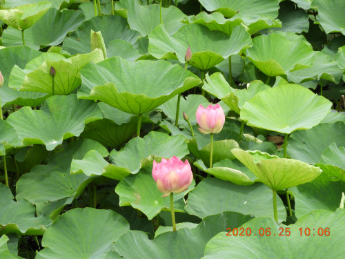 DSCN9578.JPG