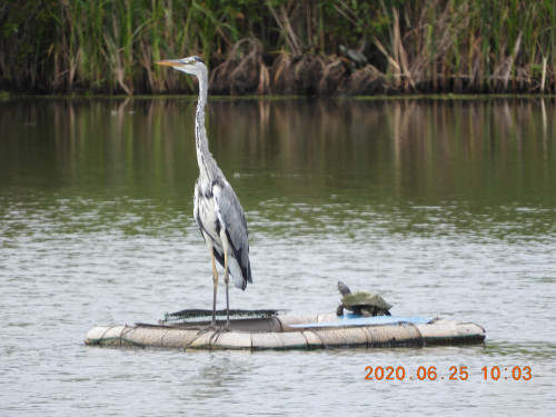 DSCN9577.JPG