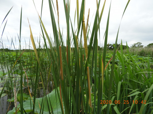 DSCN9618.JPG