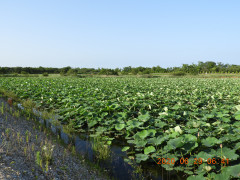 DSCN9645.JPG