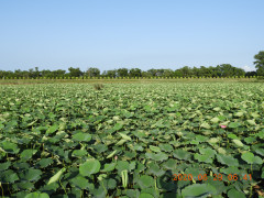 DSCN9646.JPG