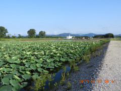 DSCN9647.JPG