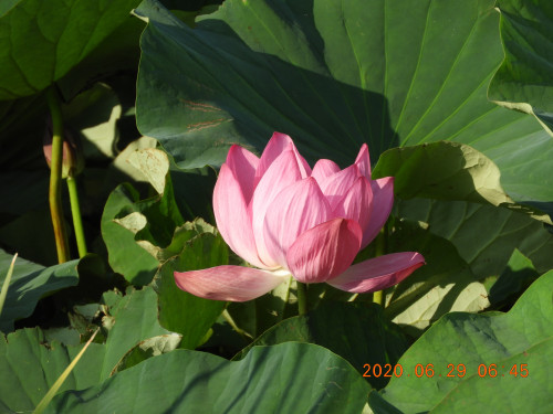 DSCN9651.JPG