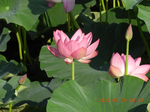 DSCN9653.JPG
