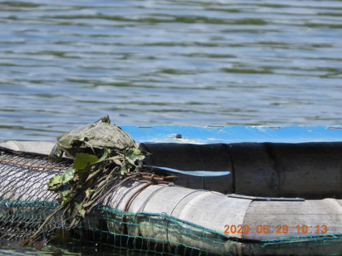 DSCN9660.JPG