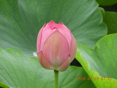 DSCN9686.JPG