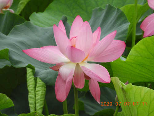 DSCN9687.JPG