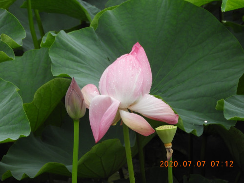 DSCN9688.JPG