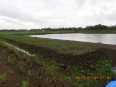 DSCN9677.JPG