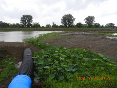 DSCN9678.JPG