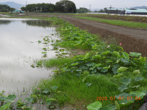DSCN9681.JPG